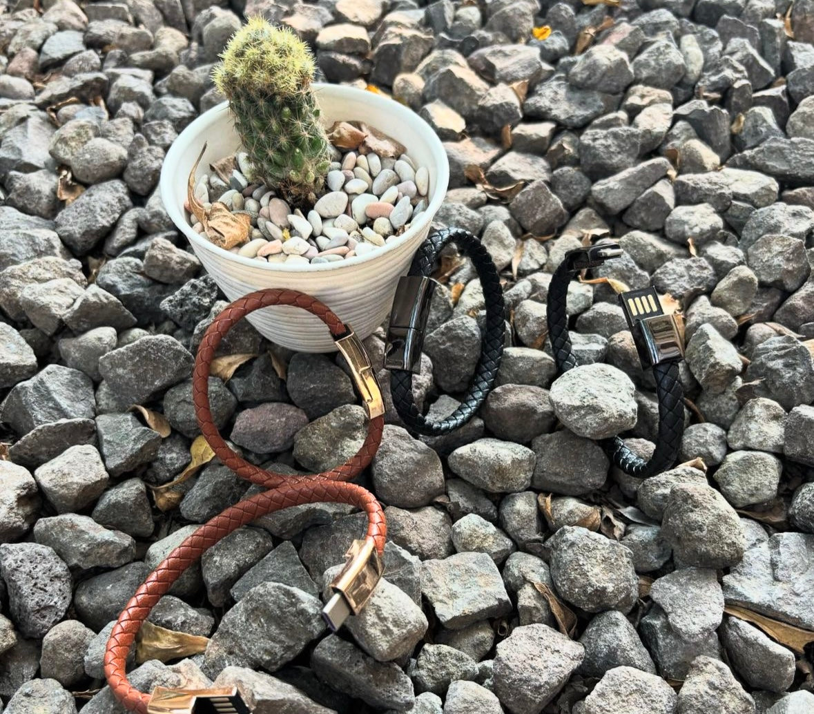 ELVE Armband + Schnelladapter 20W